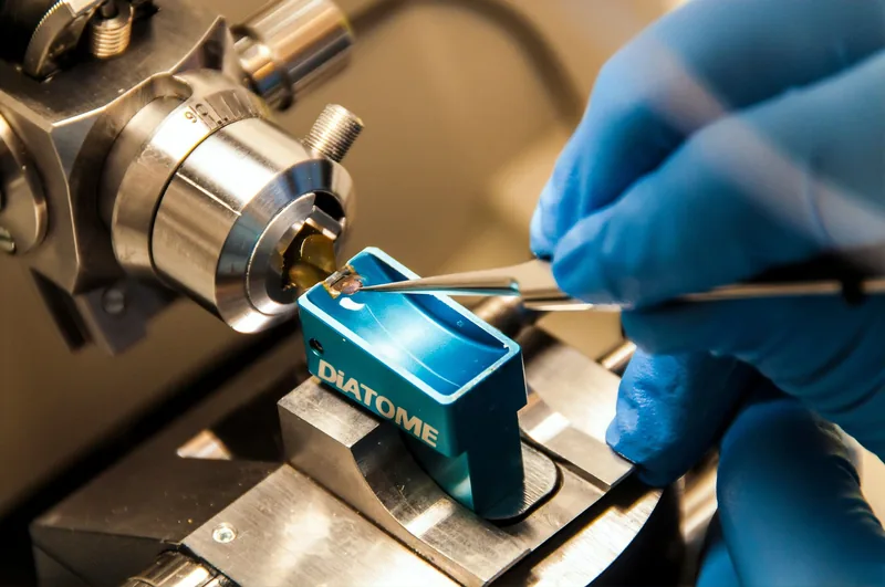 Medical Devices